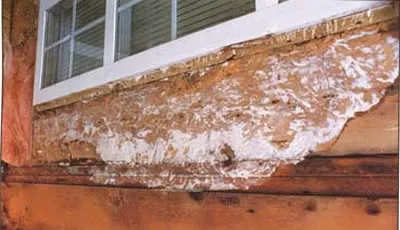 window decay