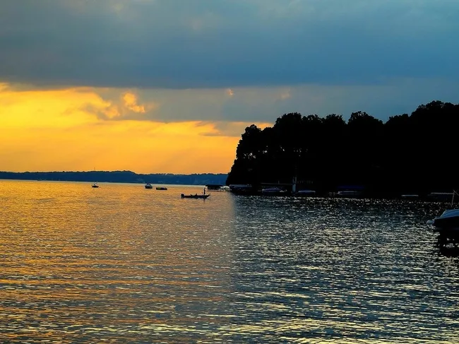  Image attribution: Corey Coyle 