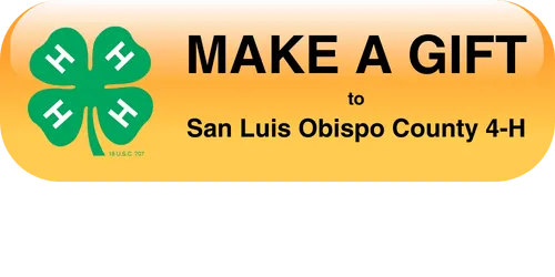 Make a Gift