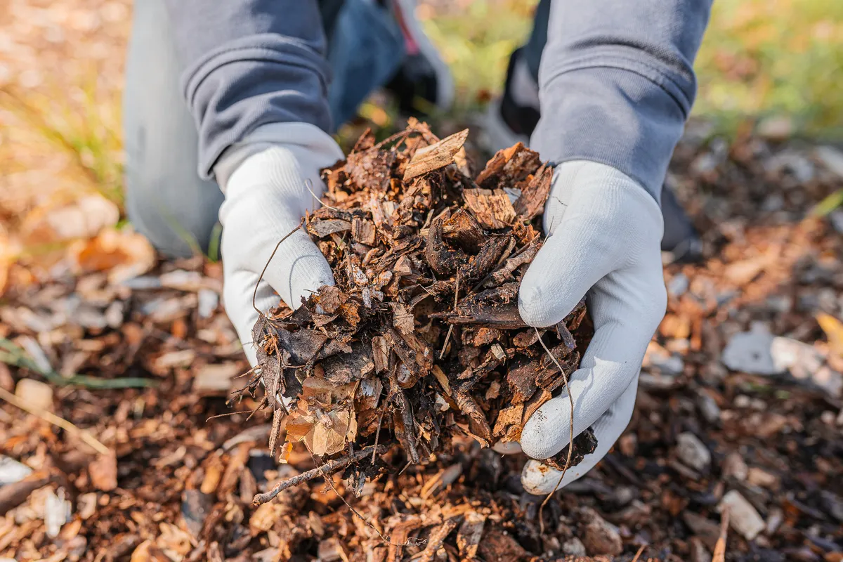 mulch webinar promo banner