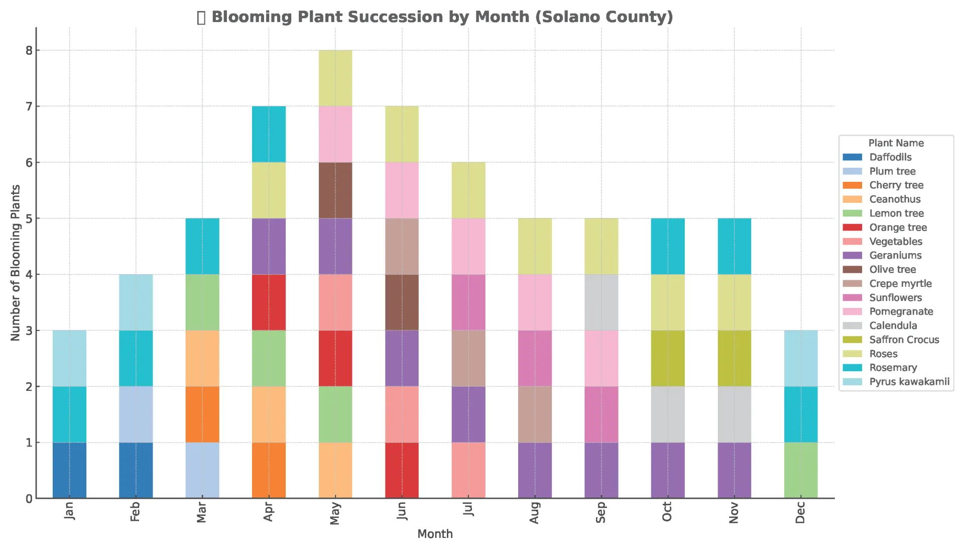 succession planting chart
