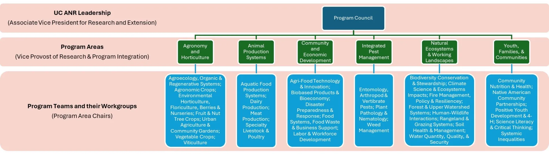 Programmatic Structure Overview