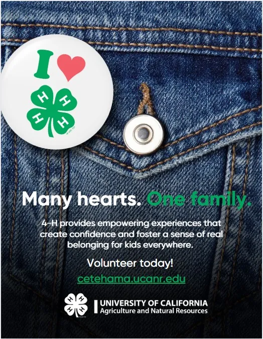 Volunteer Flyer