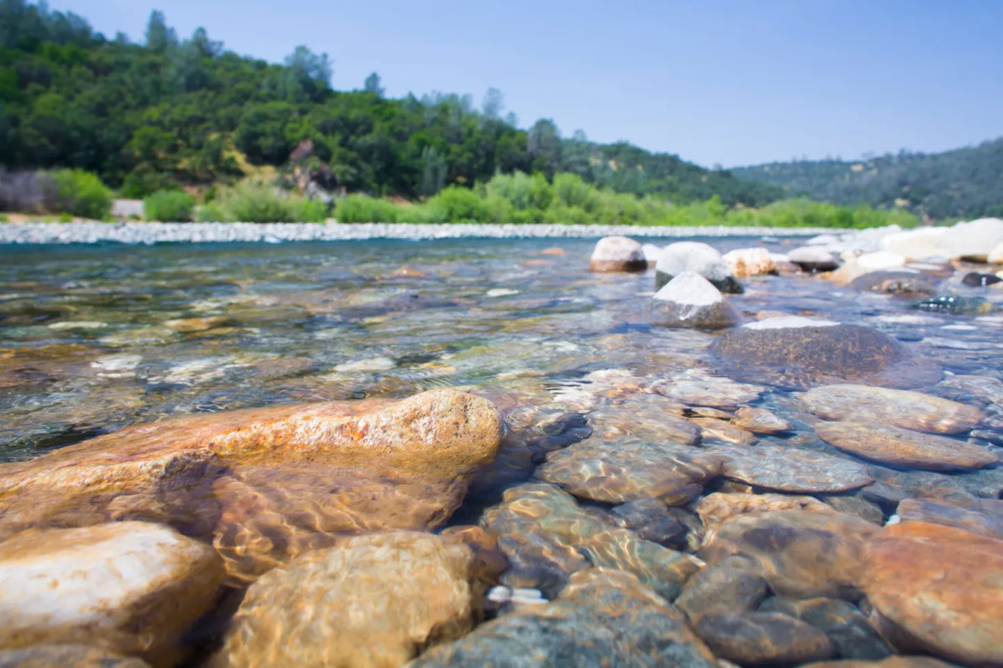 Yuba River
