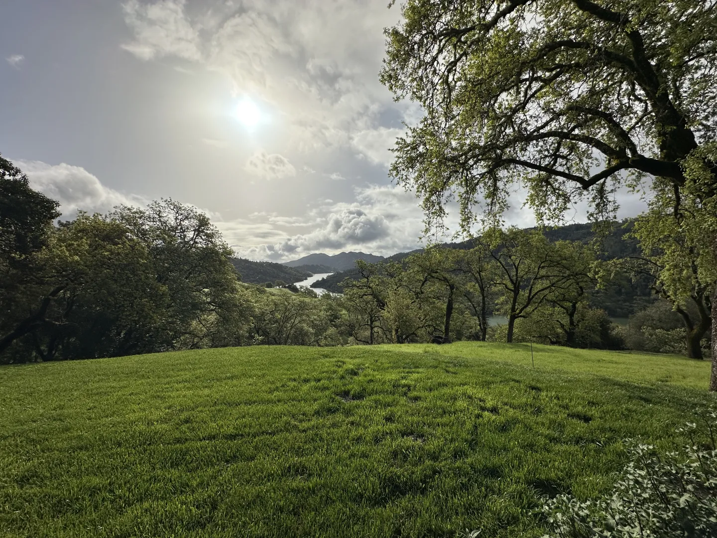 California rangeland