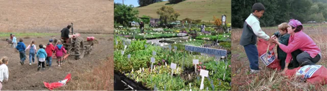 schoolgarden copy