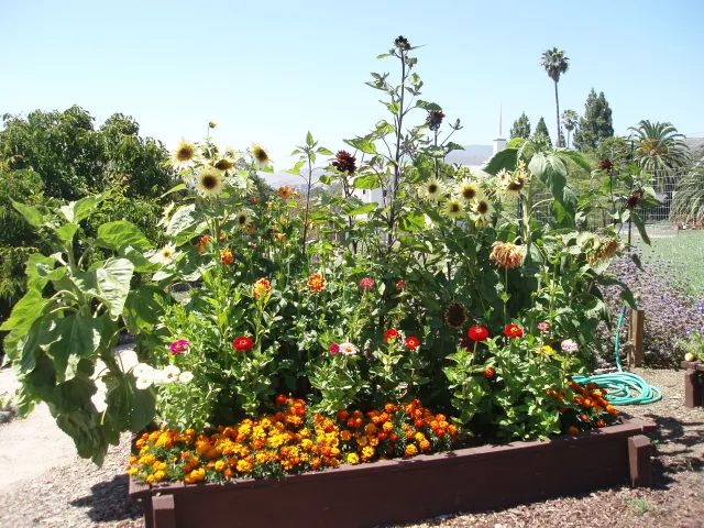 July 2011 003