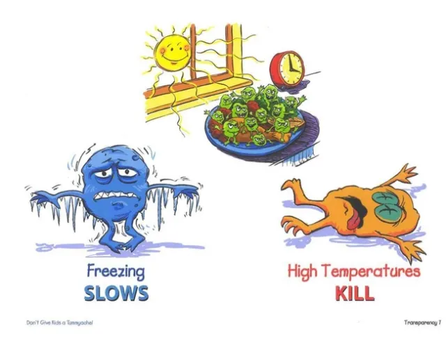 Food safety danger zone