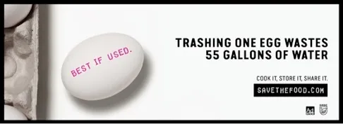 TrashingOneEgg