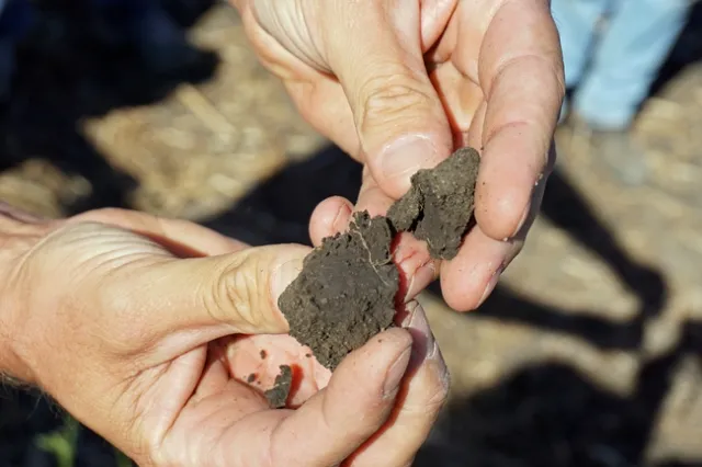 Tiny pores and roots can be seen in the soil at the Foster farm.