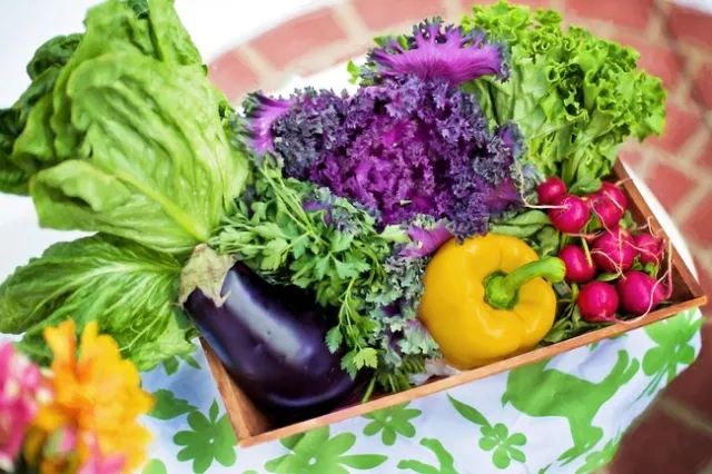 Home, school and community gardens improves family and community health and resiliency. (Photo: Jill Wellington, Pixabay)