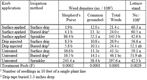 1 Number of seedlings in 10 feet of a single plant line2 Drip tape buried 2-3 inches deep
