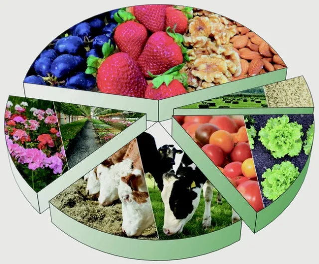 New report examines the impact of the coronavirus pandemic on food system and what the future holds for California's cattle, dairy, produce, strawberry, tomato, nut and wine industries.
