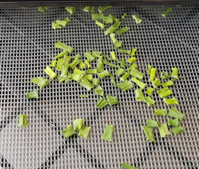dried green portion