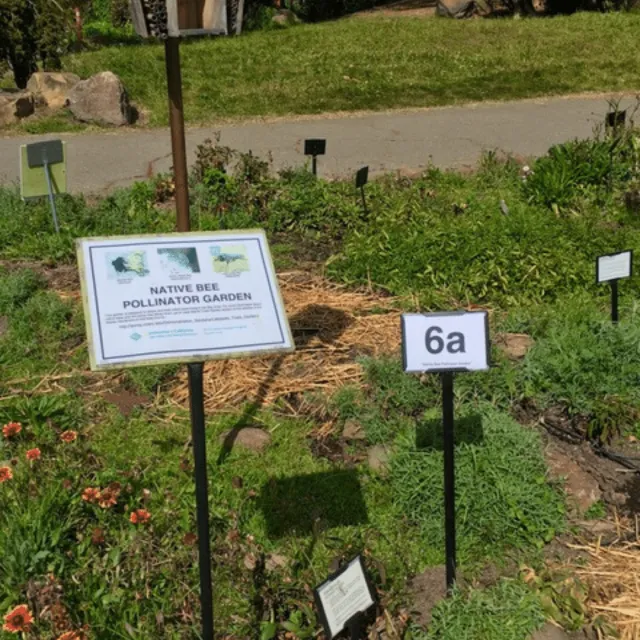 6a