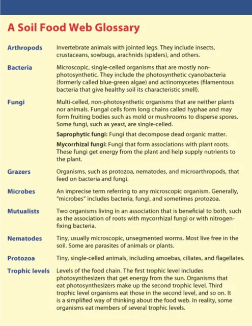 glossary