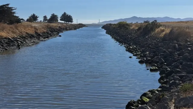 Residues from urban pesticide applications may be washed into storm drains and lead directly into creeks, rivers, and oceans. Credit: Petr Kosina, UC IPM.