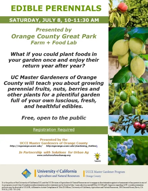 What If You Could Plant Foods In Your Garden Once And Enjoy Their Return Year After Year?