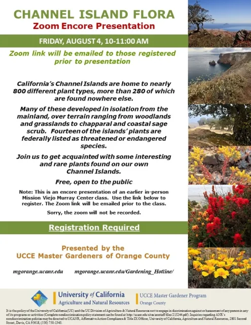 Discover the Rare and Unique Plants of California's Channel Islands - Join Us!