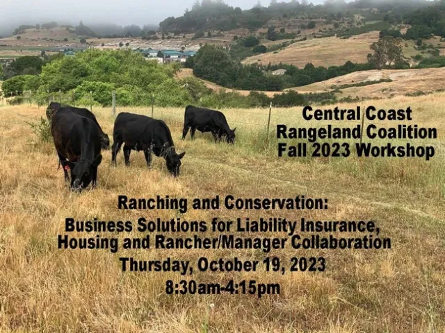 CCRC Cattle pic
