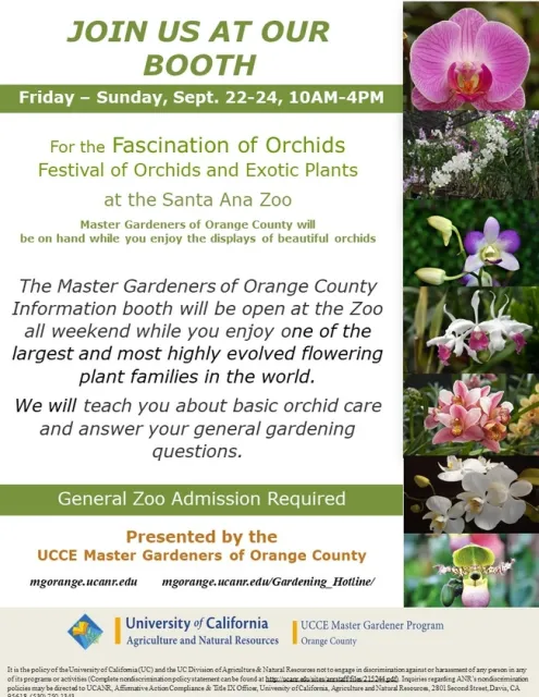 Step into a World of Orchids: Join Us at the Santa Ana Zoo Festival!