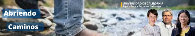 Abriendo caminos