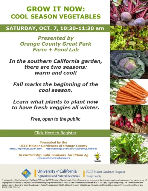 Sow and Reap: Your Guide to Cool Season Vegetables in SoCal!
