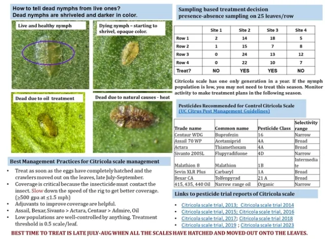 Slide2
