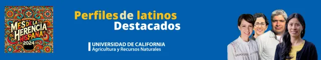 Perfiles destacados