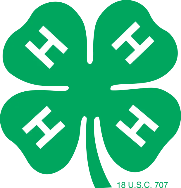 San Joaquin 4-H News Logo
