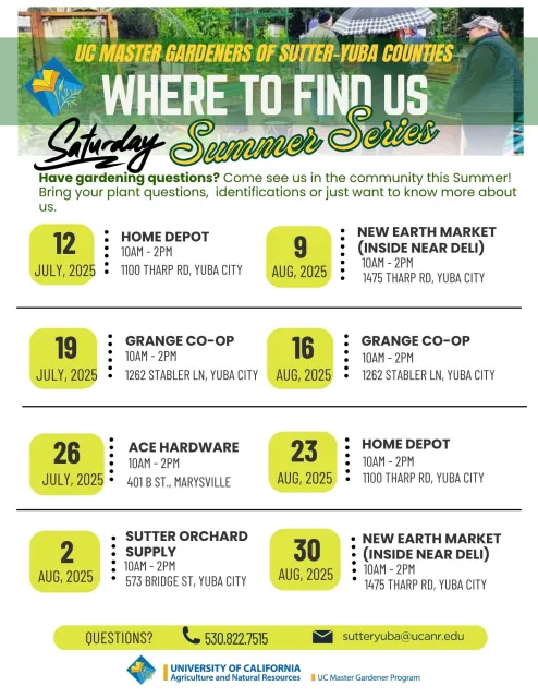 Summer MG pop-up schedule