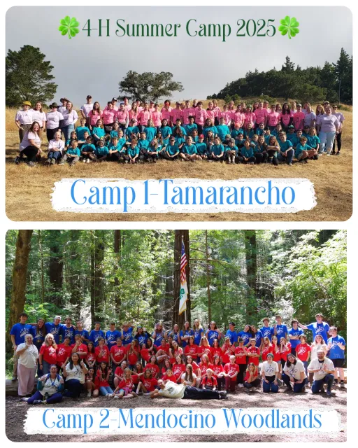Camp 2025