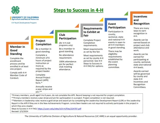 steps to success
