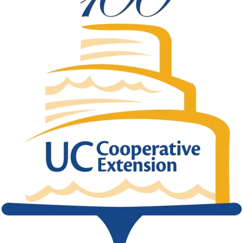 CentennialCake