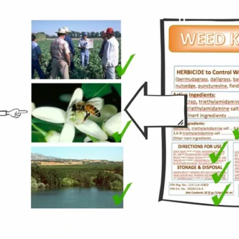 weed label screen