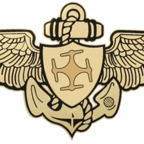 Pilot wings