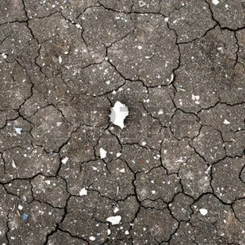 soil shells