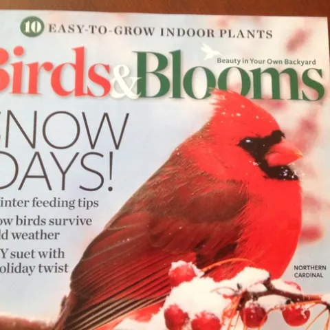 cardinal
