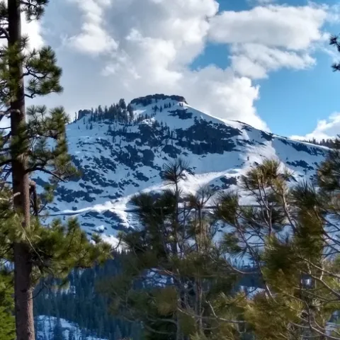 Donner delight