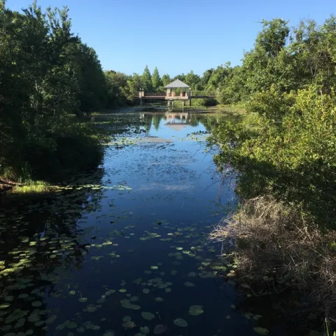 One of the ponds