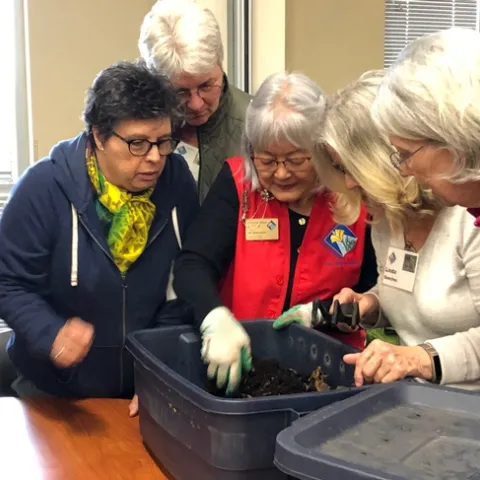 Learning about vermicomposting (composting using worms).
