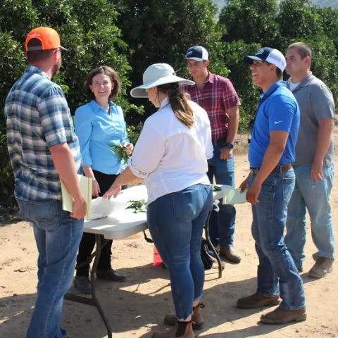 Dr. Bodil Cass showing katydid damage