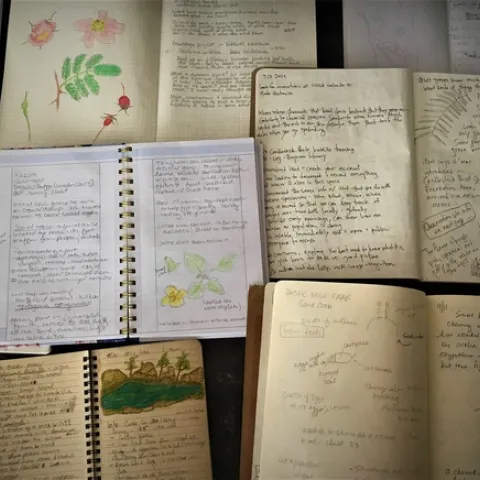 journals