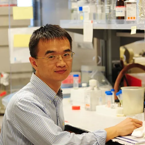 Hammock laboratory alumnus Guodong Zhang, associate professor in the University of Massachusetts' Department of Food Science, is the recipient of the "Foods 2021 Young Investigator Award." (Photo by Kathy Keatley Garvey)