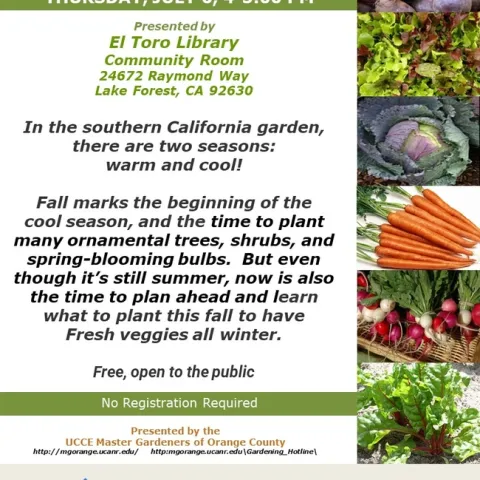 What Are The Two Southern California Garden Seasons?