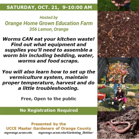 Turn Your Kitchen Waste into Gold: Mastering Vermiculture Composting!