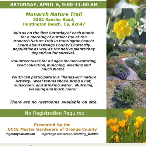 Join Us for a Morning of Nature Restoration: Volunteer at Monarch Nature Trail