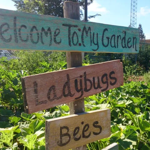 Bauer Garden