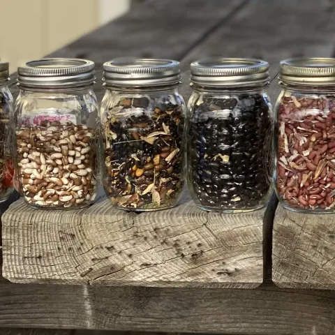 Beans at the Seed Exchange