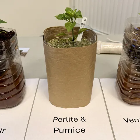 Hydroponics